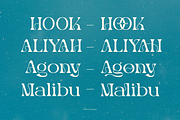 Merlo Rakasha | Display Serif Font, a Serif Font by Denustudios (Thumbnail 7 of 13)