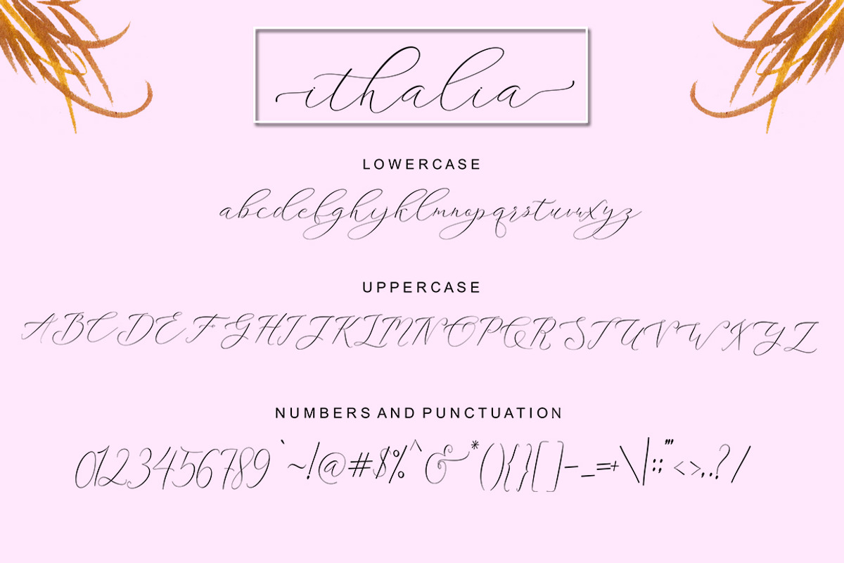 Ithalia, a Script Font by Rotterlab Studio (Photo 7 of 8)