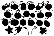 Pumpkins Stamp brushes, a Brush Add-On by ViktoriArt (Thumbnail 3 of 8)