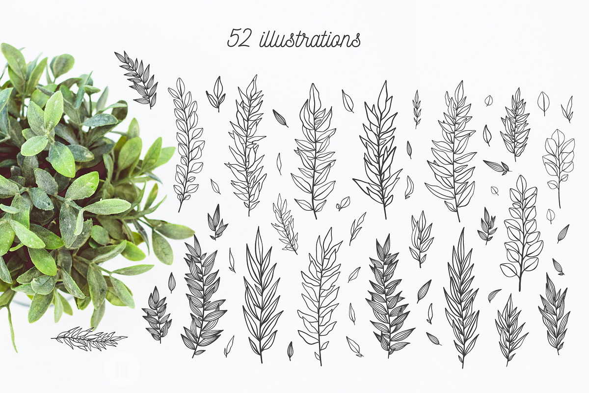 52 hand drawn branches, an Object Graphic by Wander Designs (Photo 6 of 6)