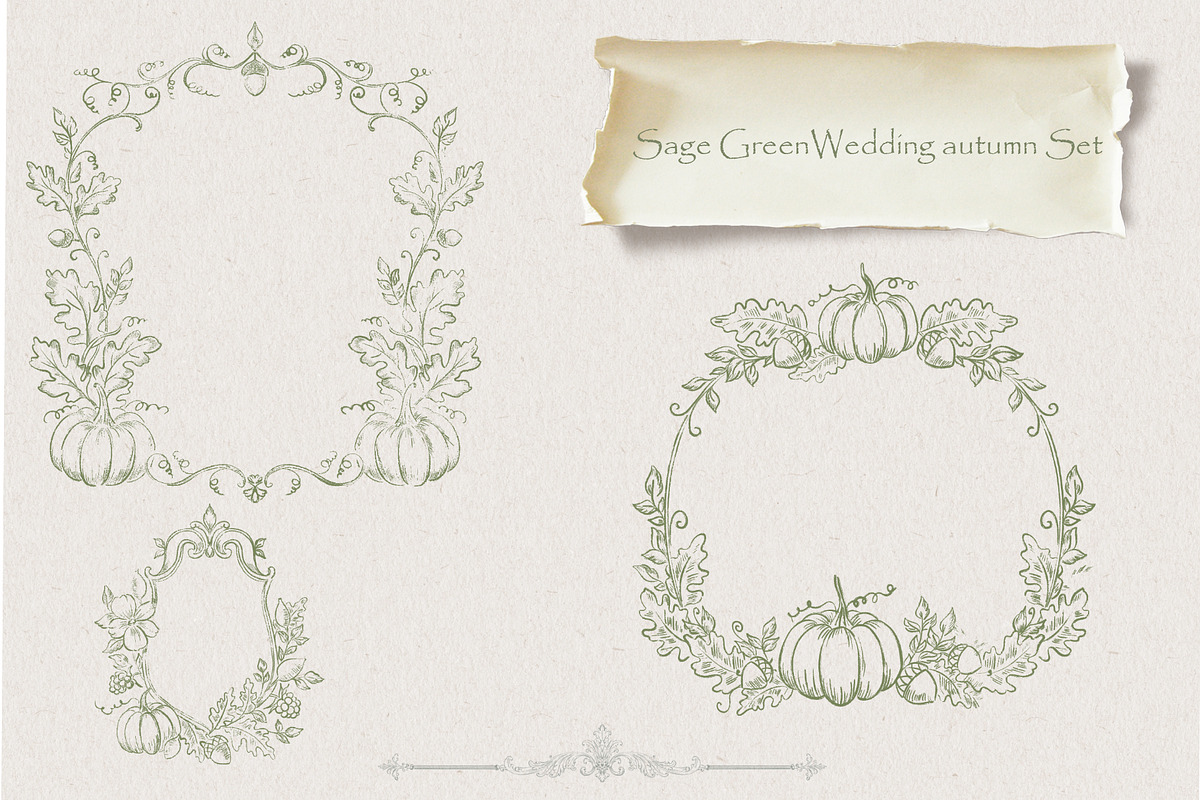 Autumn Botanical Sage Green Set, a Seasonal Illustration by AlenaVlasko stock Market (Photo 5 of 7)