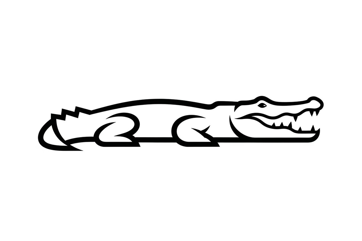 Crocodile Alligator Vector Bundle, an Illustration by jahid234 (Photo 45 of 51)