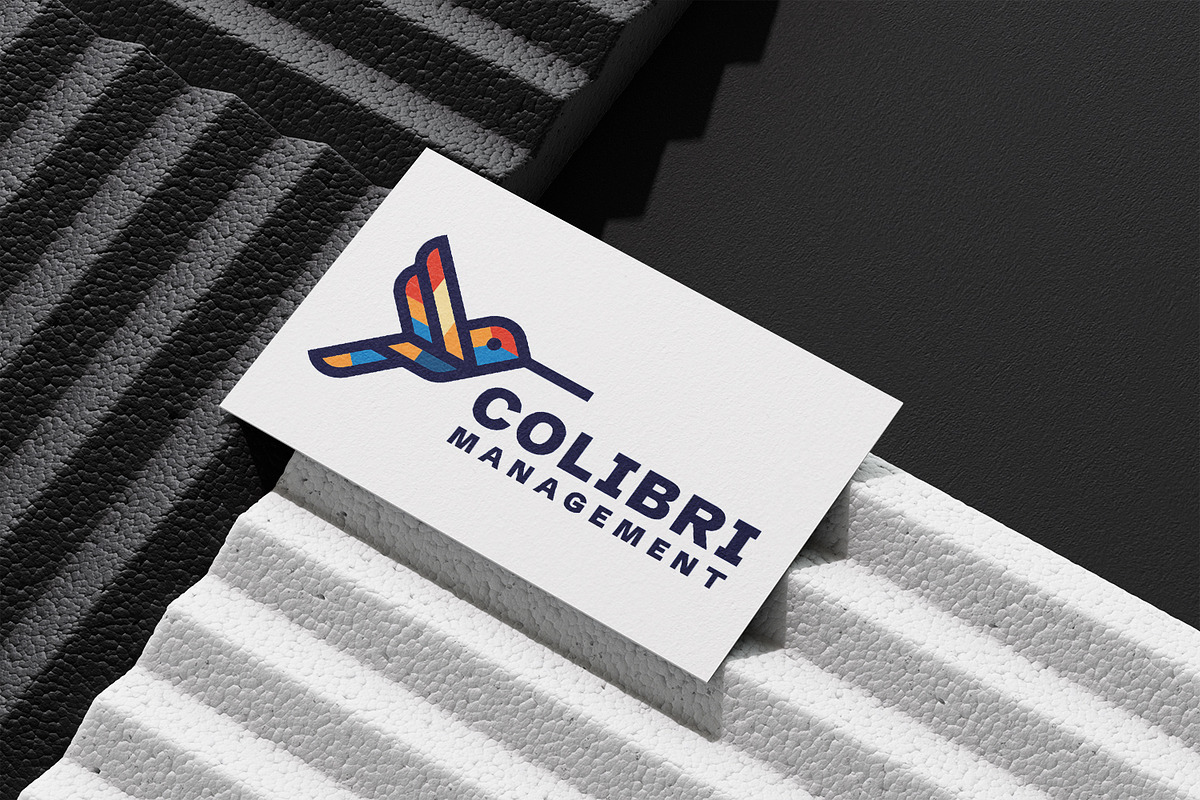 Geometric Outline Colibri Bird Logo, a Branding & Logo Template by Suhandi (Photo 4 of 8)