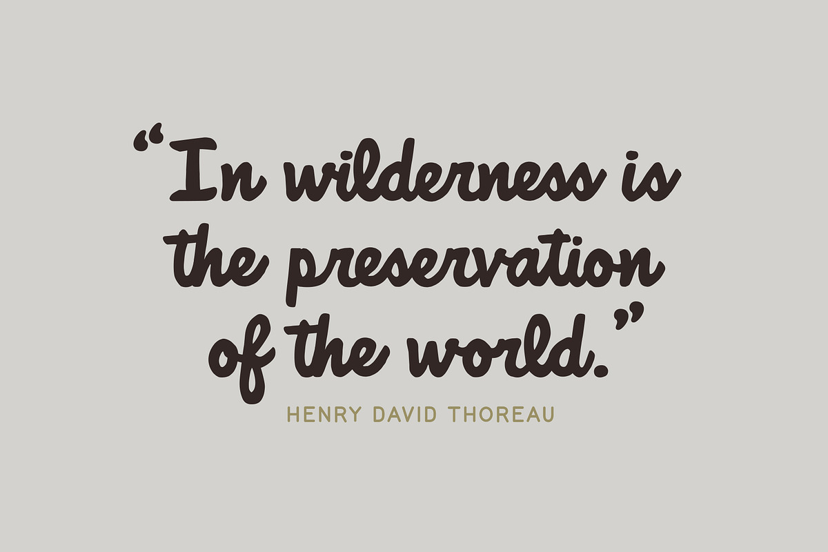 Free Download Preview - Fontfreebie