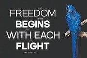 Dectone - Family Sans Serif Font, a Sans Serif Font by Flawless And Co (Thumbnail 2 of 10)