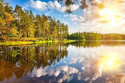 Beautiful sunset on forest lake stock photo containing landscape and lake, a Nature Photo by sborisov