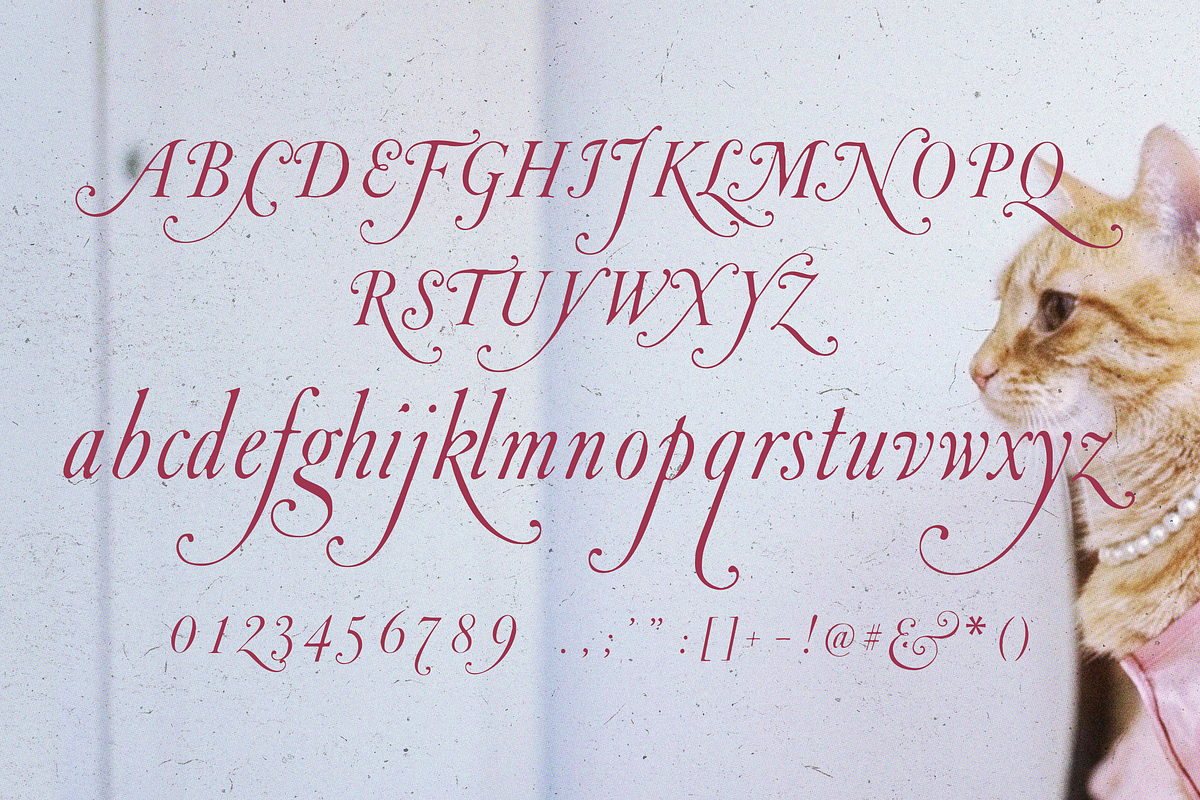 Fleur de Plume, a Script Font by Lilithcollageart (Photo 7 of 9)