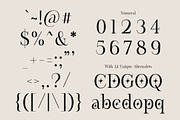 Montegar - Elegant Celestial Serif, a Serif Font by Lettertype Studio (Thumbnail 13 of 15)