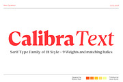Calibra Text 18 Fonts- Save 40%, a Serif Font by Mulkan Nazir (Thumbnail 1 of 12)