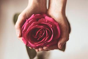 Rose in hands containing romantic, finger, and gift