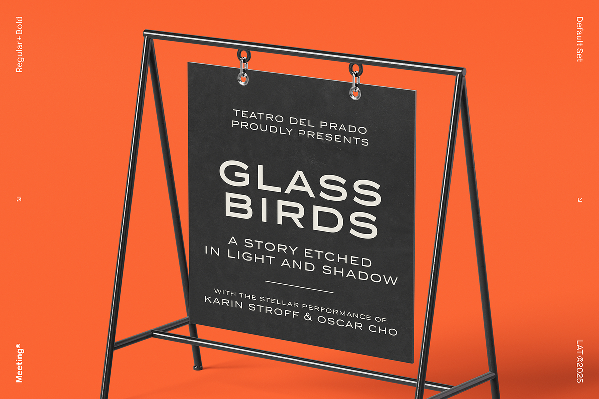 Meeting, a Sans Serif Font by Los Andes Type (Photo 2 of 11)
