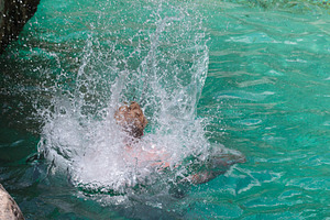 Woman diving into the Soca river, a Nature Photo by Bepslabor