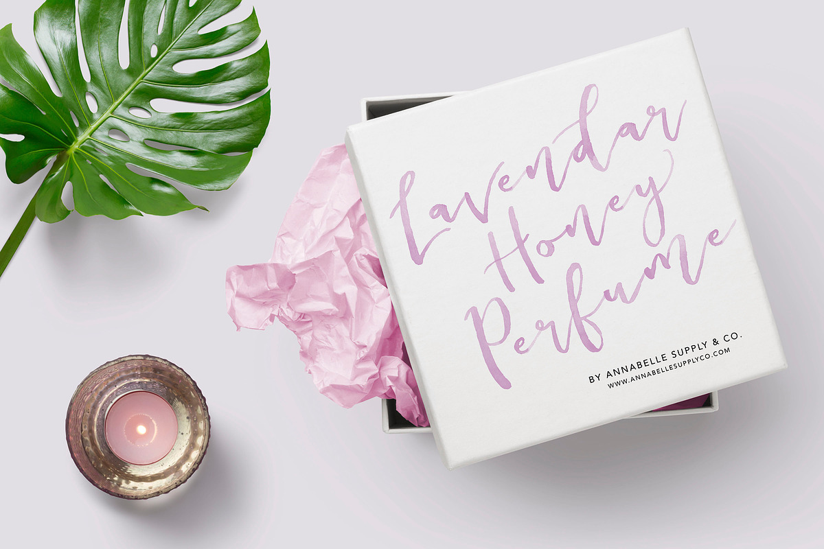 Tamborine SVG + Solid Font preview 7