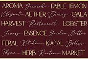Latica Marcia - Font Duo, a Serif Font by Font Liner (Thumbnail 6 of 14)