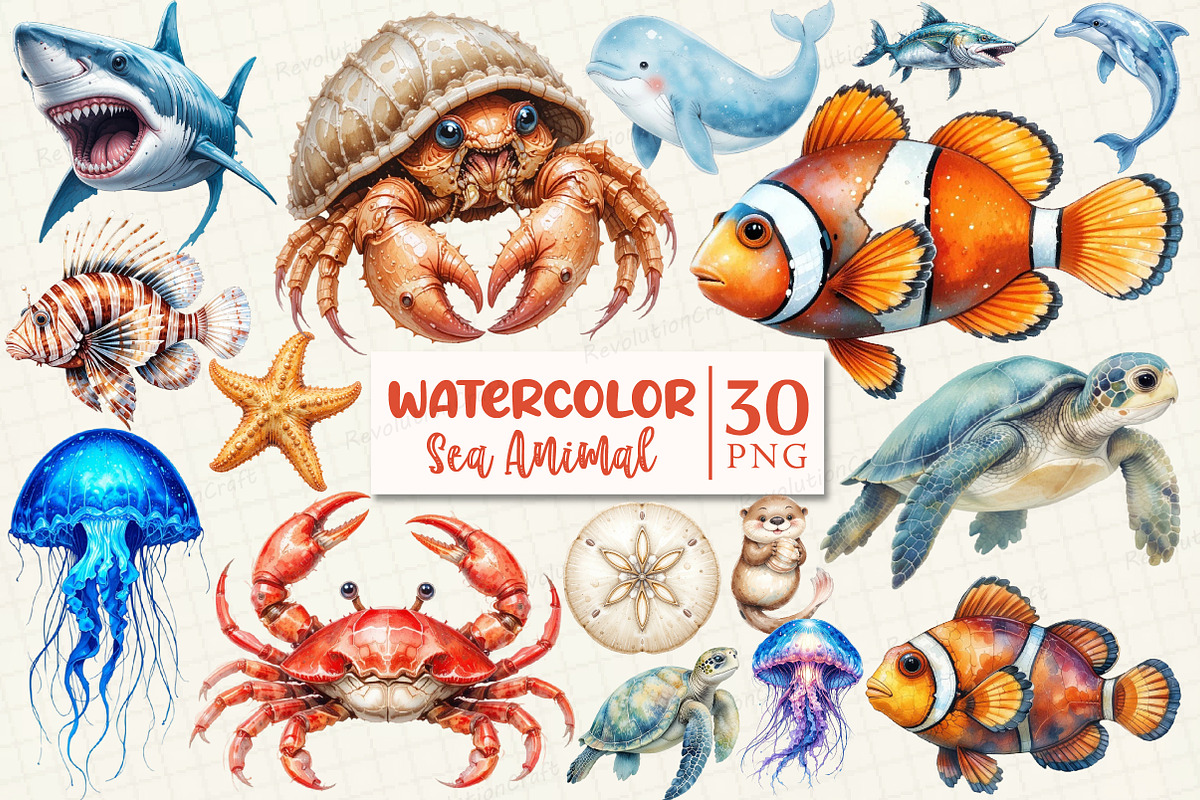 Watercolor Sea Animal Clipart, a Work Illustration by OK Design (Photo 1 of 5)
