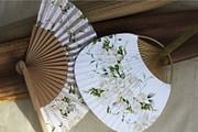 White flowers, Freesia, an Object Illustration by ollalya (Thumbnail 10 of 10)