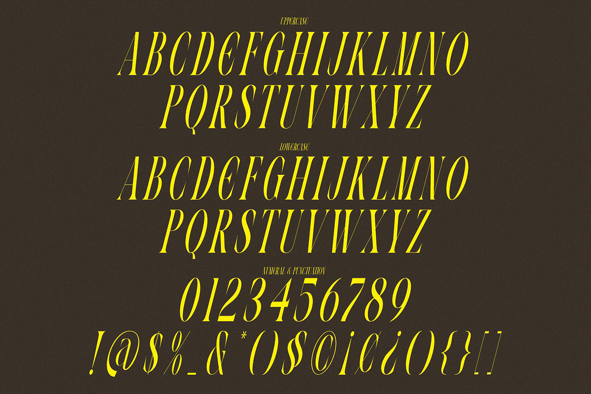 VOLTUNE Elegant Condensed Serif, a Serif Font by Alfinart (Photo 10 of 10)