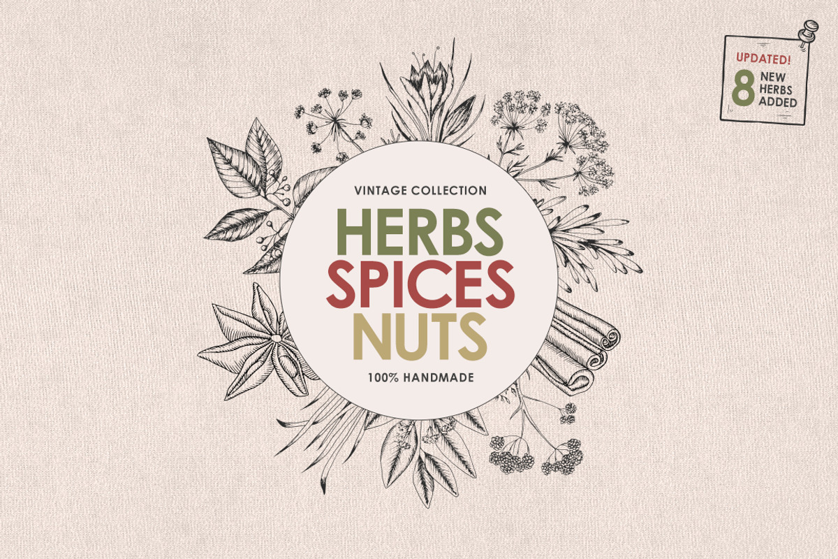 Herbs, Spices, Nuts. Hand drawn set., a Decorative Illustration by Chelovector (Photo 1 of 4)