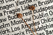 SLTF Winner Baroque - Ligature Serif, a Serif Font by SilverStag Type Foundry (Thumbnail 7 of 30)
