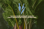 Farmers Market: 100+ Textured Food, a Food Illustration by Veyla (Thumbnail 15 of 15)