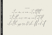 South Epic Dream Font Duo + Logos, a Serif Font by SNIPESCIENTIST (Thumbnail 31 of 32)