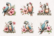 Whimsical Spring Macaws Clipart, an Illustration by CreationArt (Thumbnail 6 of 7)