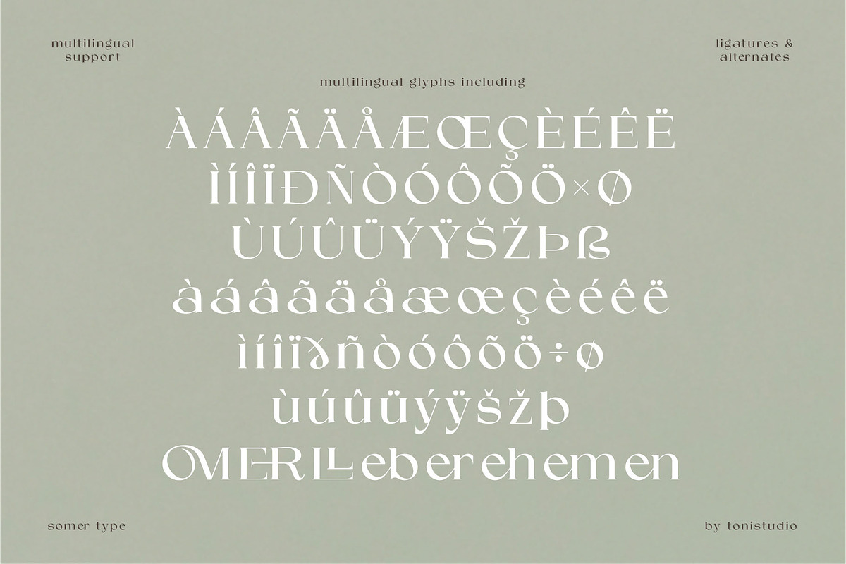 SOMER | modern and elegant serif, a Serif Font by ToniStudio (Photo 10 of 11)