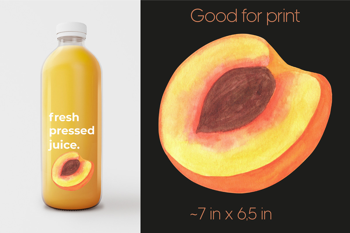 Peach fruit watercolor clipart PNG, a Food Illustration by Anntre (Photo 3 of 4)