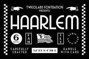 Haarlem Family | 3 in 1 Fonts, a Sans Serif Font by Twicolabs Fontdation