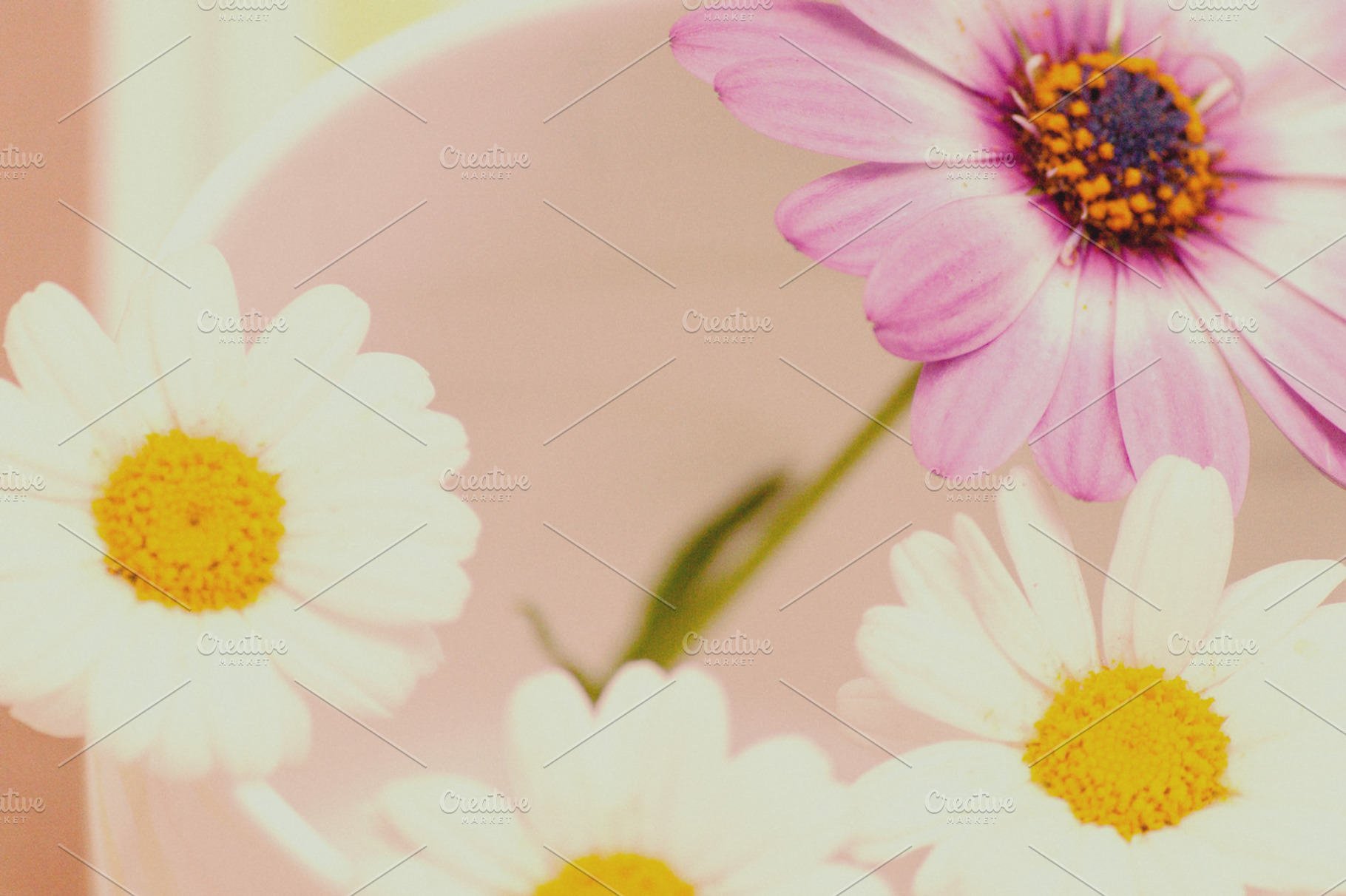 Flowers In A Cup Stock Photograph
