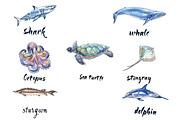 Watercolor sea animals, an Animal Illustration by miminoshka (Thumbnail 2 of 9)