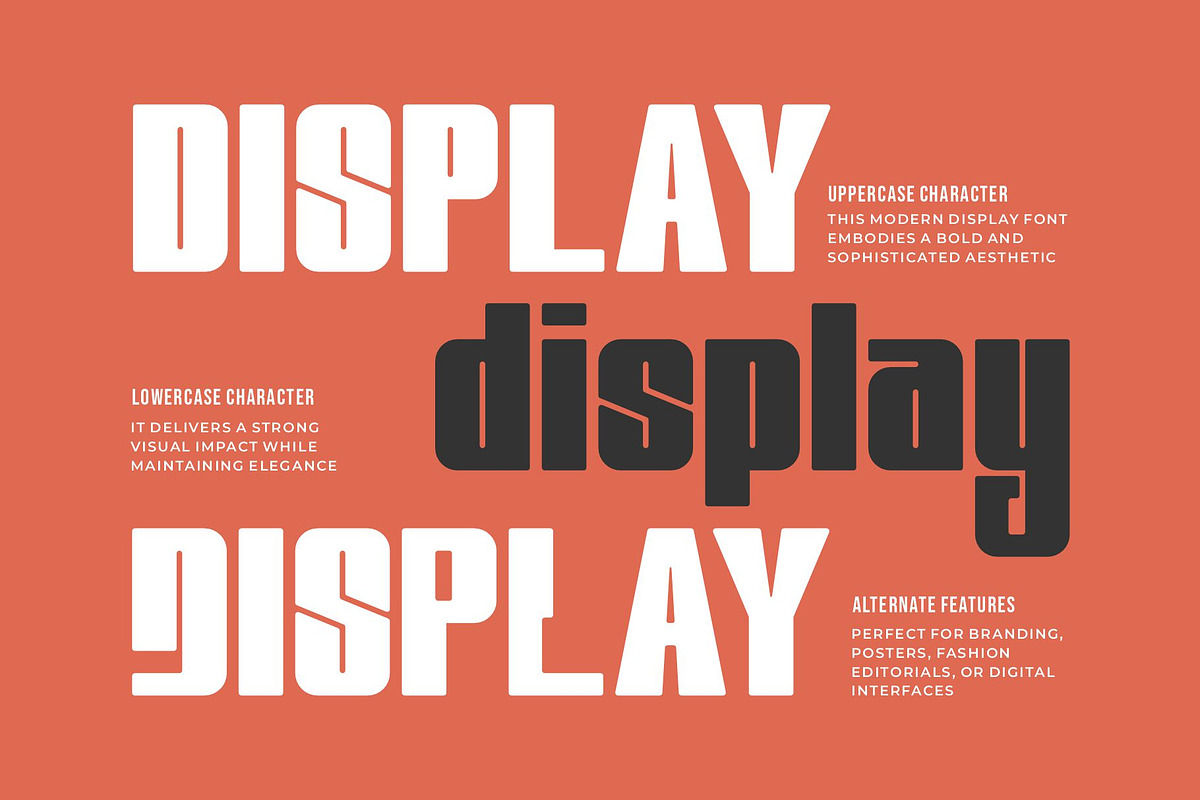Rodeas || Vintage Display Font, a Sans Serif Font by Ermedia Studio (Photo 3 of 10)