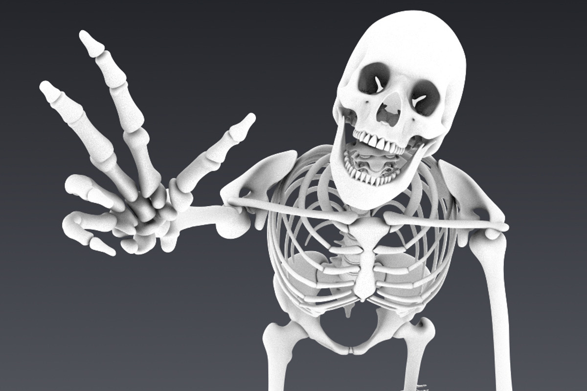Human skeleton rigged, a Characters & Person 3D Model by konstantin.ermolaev (Photo 13 of 27)