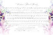Madison Street Regular & Swash, a Script Font by STUDIOWAYS (Thumbnail 5 of 5)