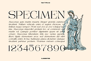 TAN - CLEMENTINE, a Serif Font by TanType (Thumbnail 15 of 20)
