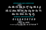 Elegantia - Romantic Font, a Script Font by portype (Thumbnail 2 of 5)