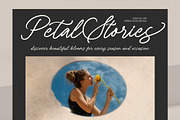 Arabella Rentharis Elegant Script, a Script Font by Letterena Studios Script (Thumbnail 2 of 10)