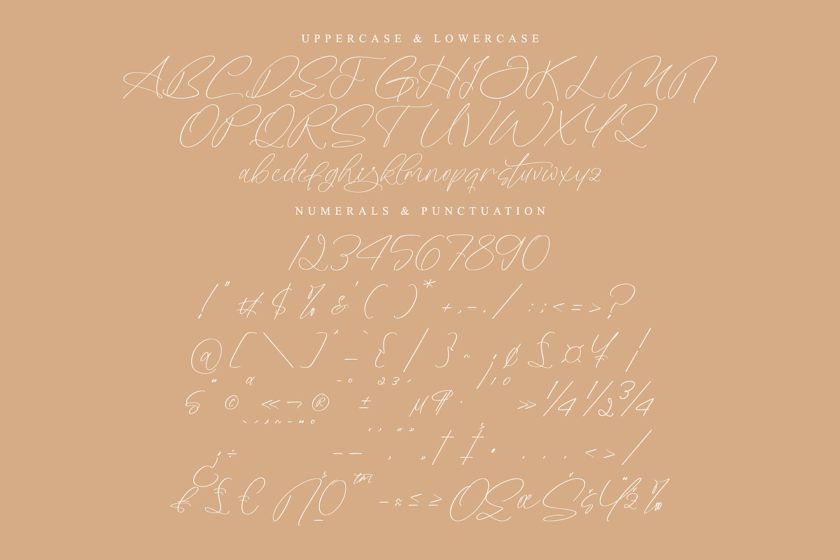 Styelad Initials, a Handwritten Font by operatype.co (Photo 13 of 15)