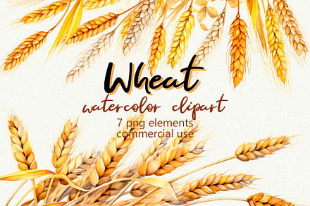 Wheat Watercolor Clipart, an Illustration by Anny Sketches