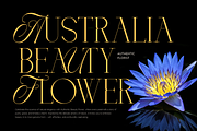 BlueMoon - Luxury Font, a Serif Font by Umitype (Thumbnail 8 of 10)