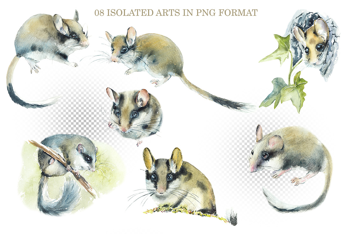Watercolor Garden Dormouse, an Object Graphic by Budogoshch (Photo 2 of 4)