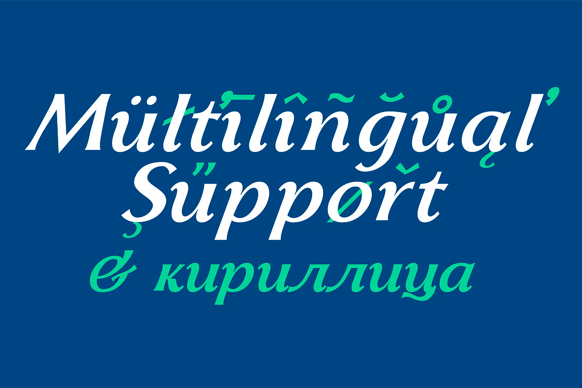 Skiff Italic preview 4