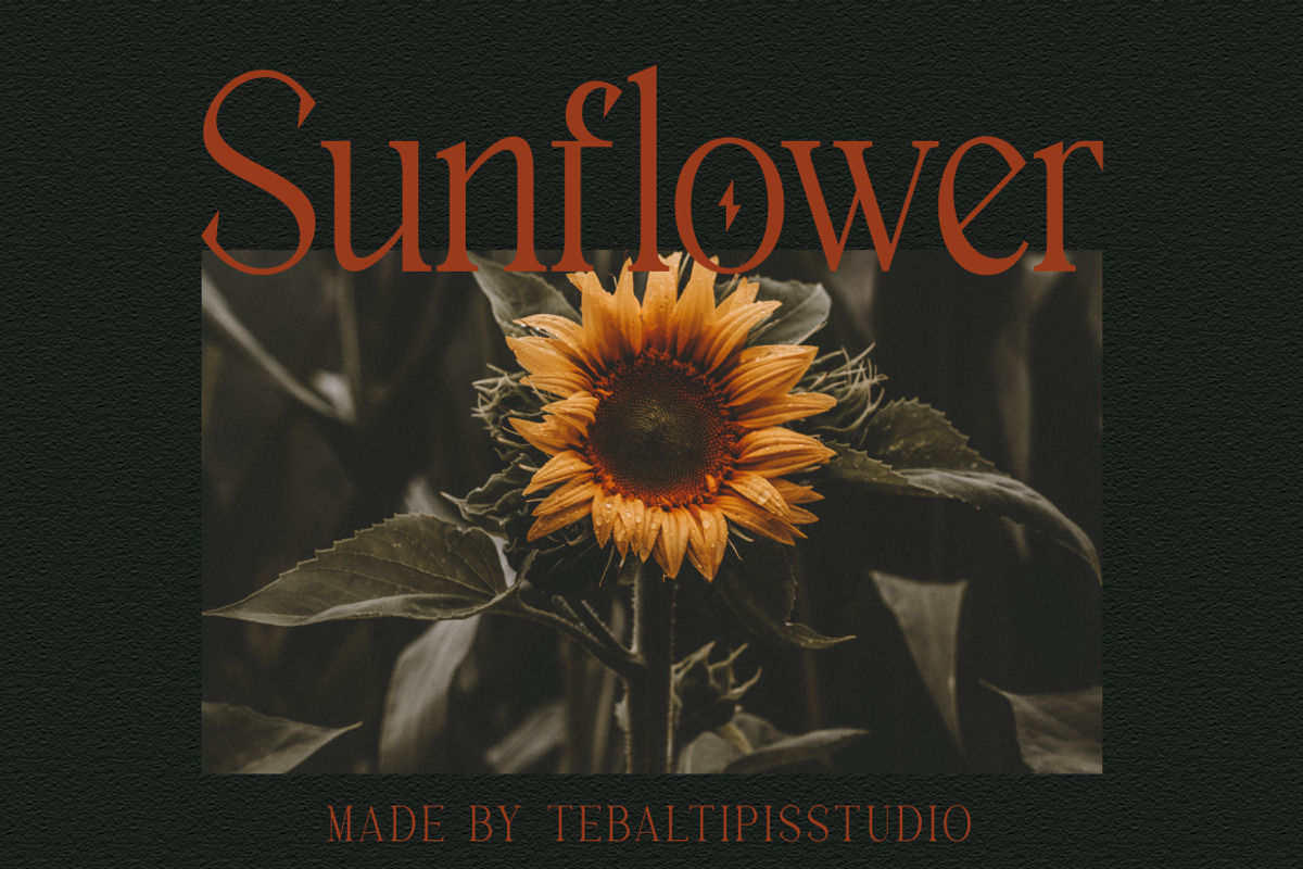 Breasto - Display Serif, a Sans Serif Font by tebaltipislab (Photo 16 of 18)