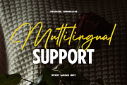 Shelvia Montanila - Beauty Font Duo, a Script Font by Arterfak Project (Thumbnail 10 of 11)