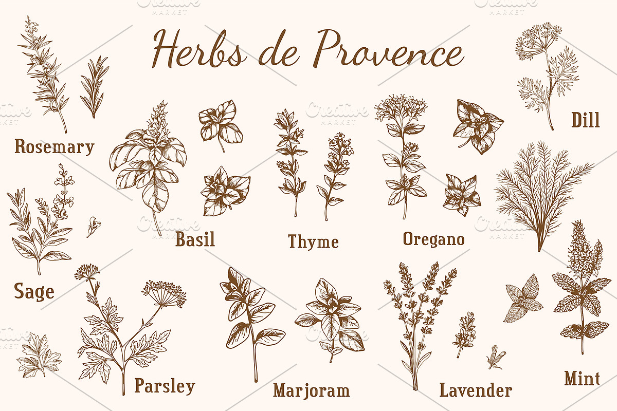 Vintage Provencal Herbs., a Food Illustration by Artspace (Photo 2 of 4)