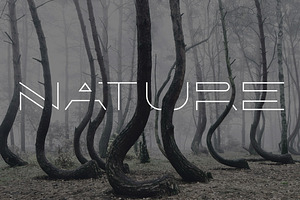 Forest Line Extended Linear Font