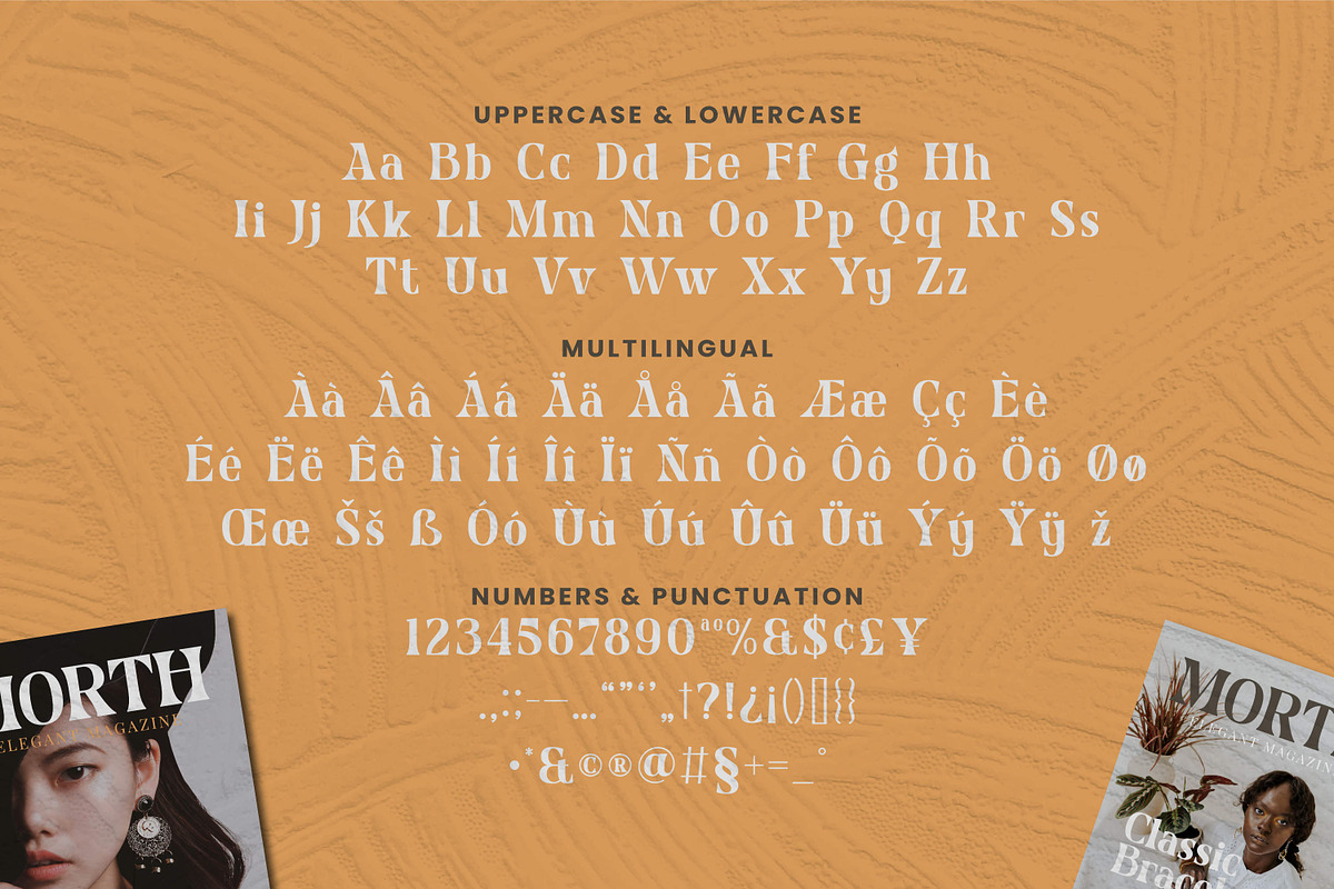 Naveta - Modern Serif Font, a Serif Font by Fype Co. (Photo 5 of 5)