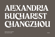 White Series, a Serif Font by Abo Daniel Studio (Thumbnail 5 of 14)