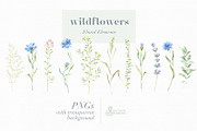 Meadow. Floral Borders & Elements, a Decorative Illustration by OctopusArtis (Thumbnail 5 of 8)