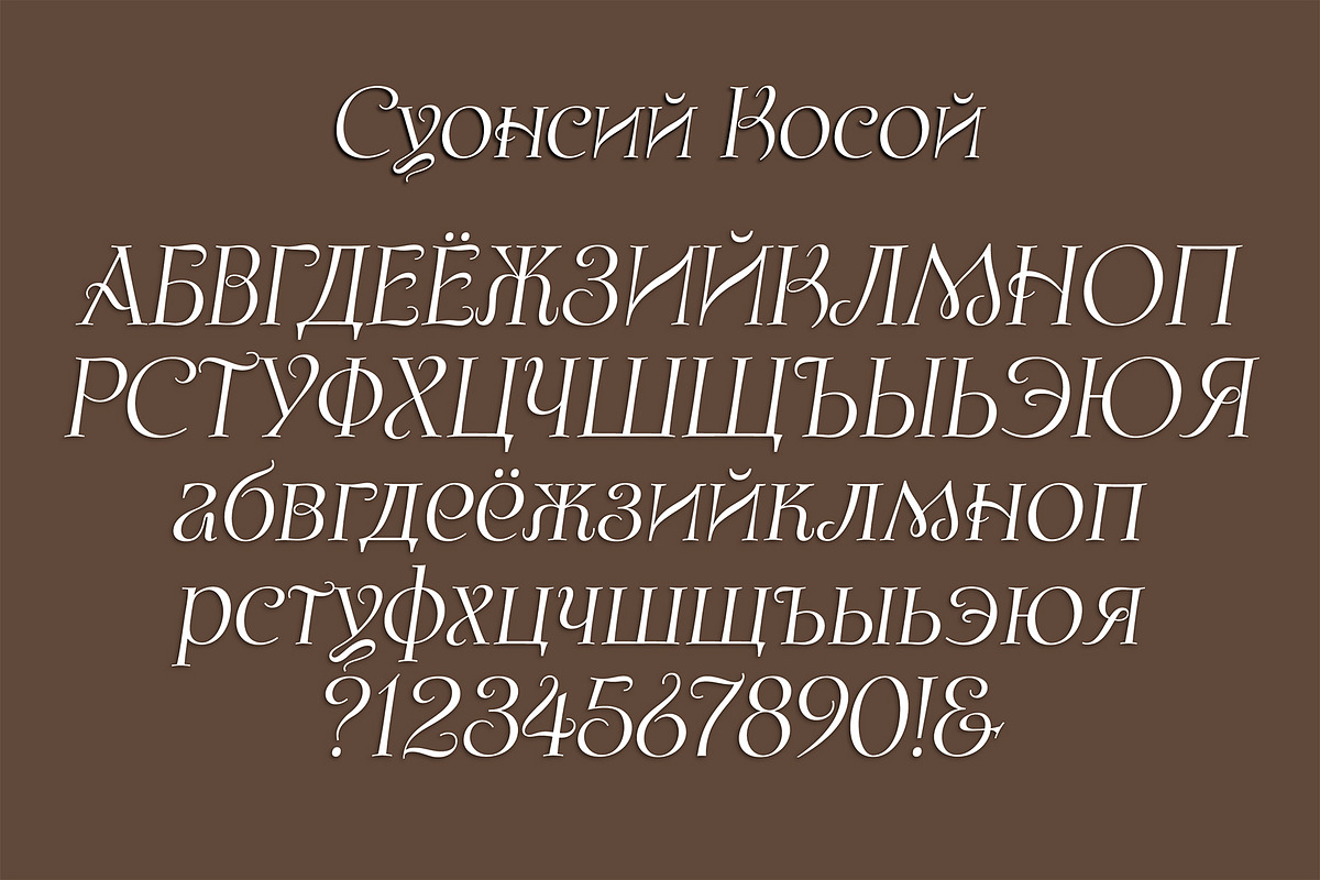 Swansea Cyrillic Font, a Serif Font by Mysterylab Designs (Photo 7 of 8)
